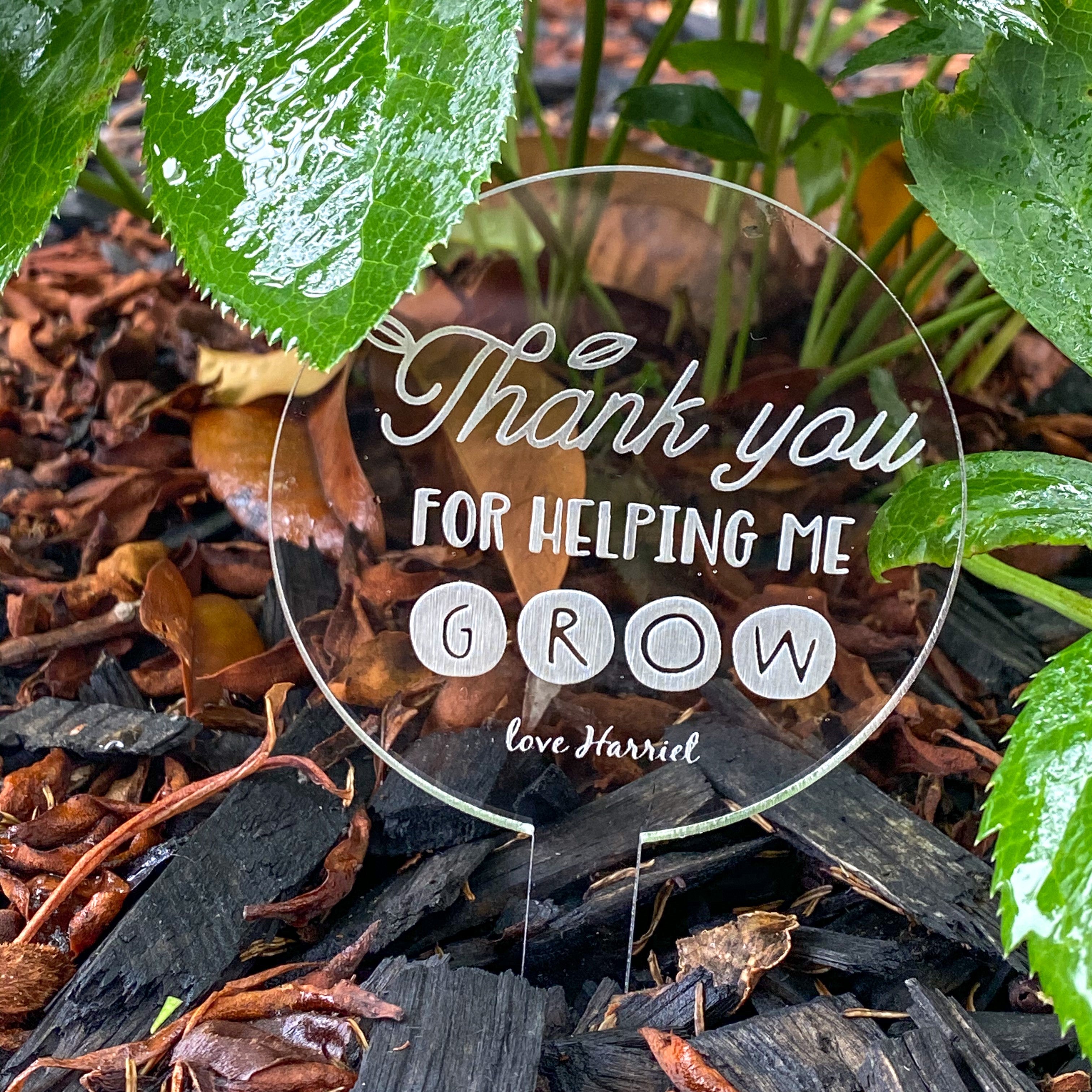 Personalised Teacher Plant Paddle