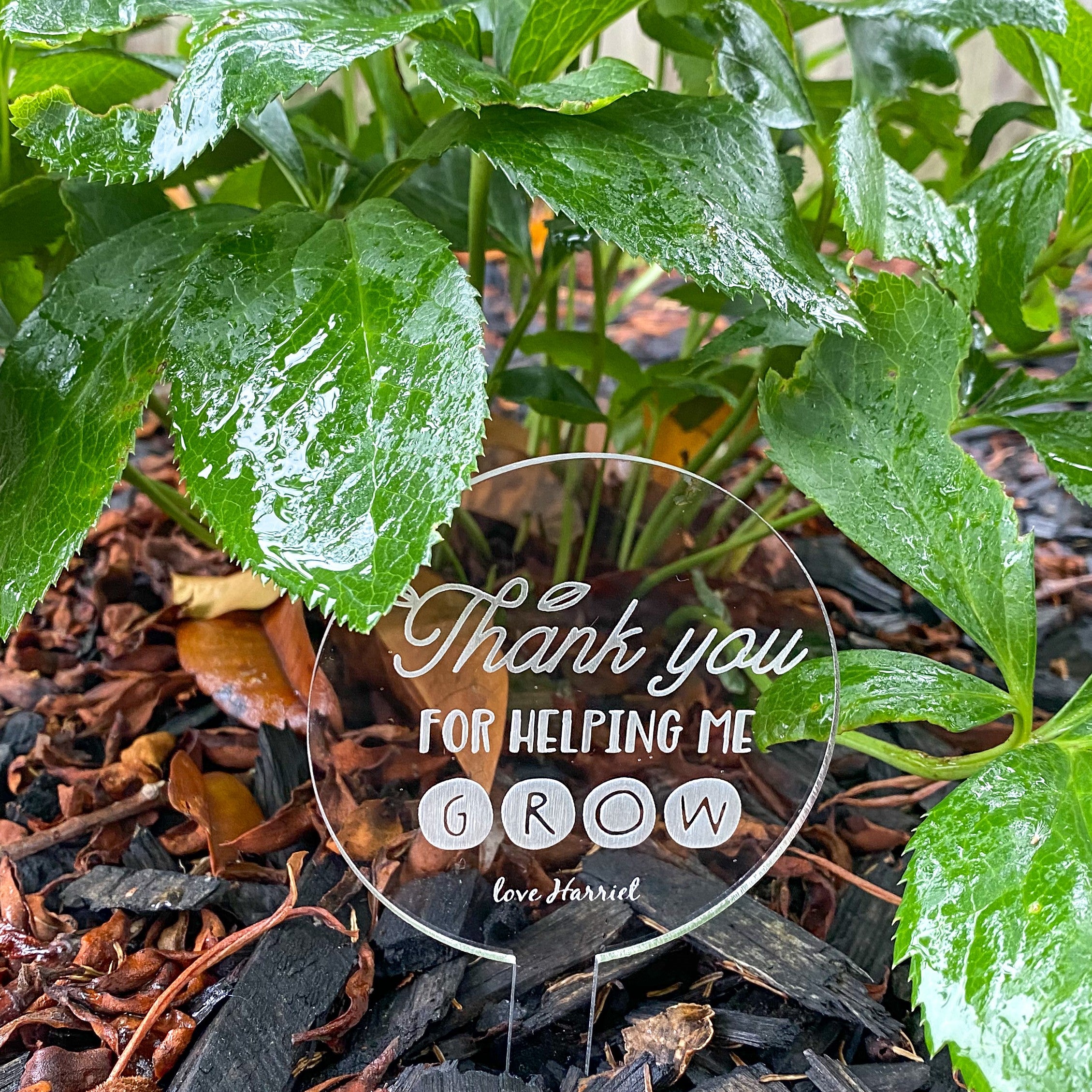 Personalised Teacher Plant Paddle